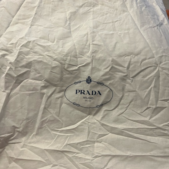 Parade dust bag extra large like 32 x 24 or bigger - Picture 3 of 4